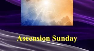 Website - Bulletins - Cover - 5 Ascension Sunday