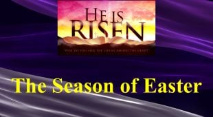 Website - Bulletins - Cover - 5 The Season of Easter