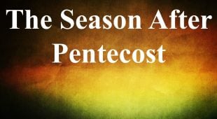 Website - Bulletins - Cover - 6 The Season after Pentecost